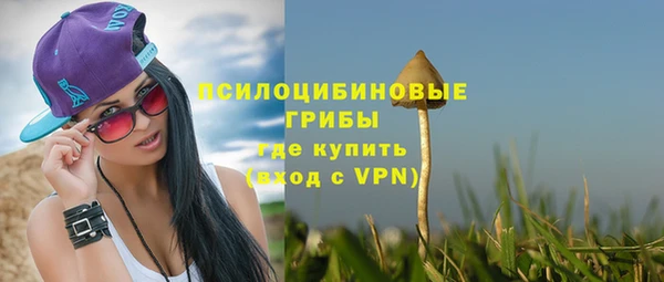 трава Ладушкин