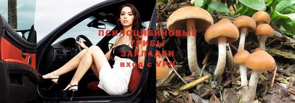 прущие крисы Лабытнанги