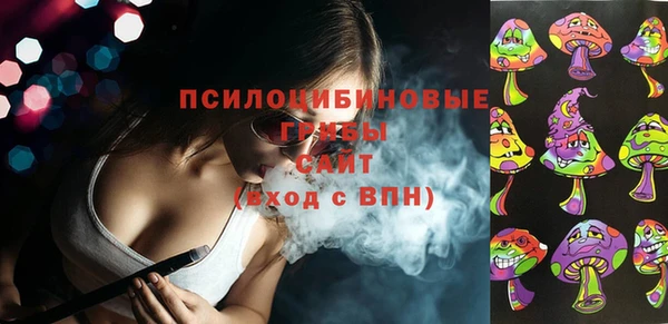 прущие крисы Лабытнанги
