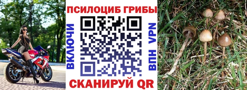 Купить закладки  Учалы  Галлюциногенные грибы прущие грибы 